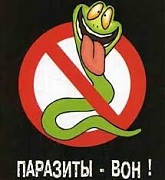 АНТИГЕЛЬМИНТНЫЕ ПРЕПАРАТЫ