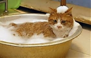 Косметика и уход