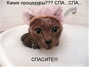 ШАМПУНИ, МЫЛО